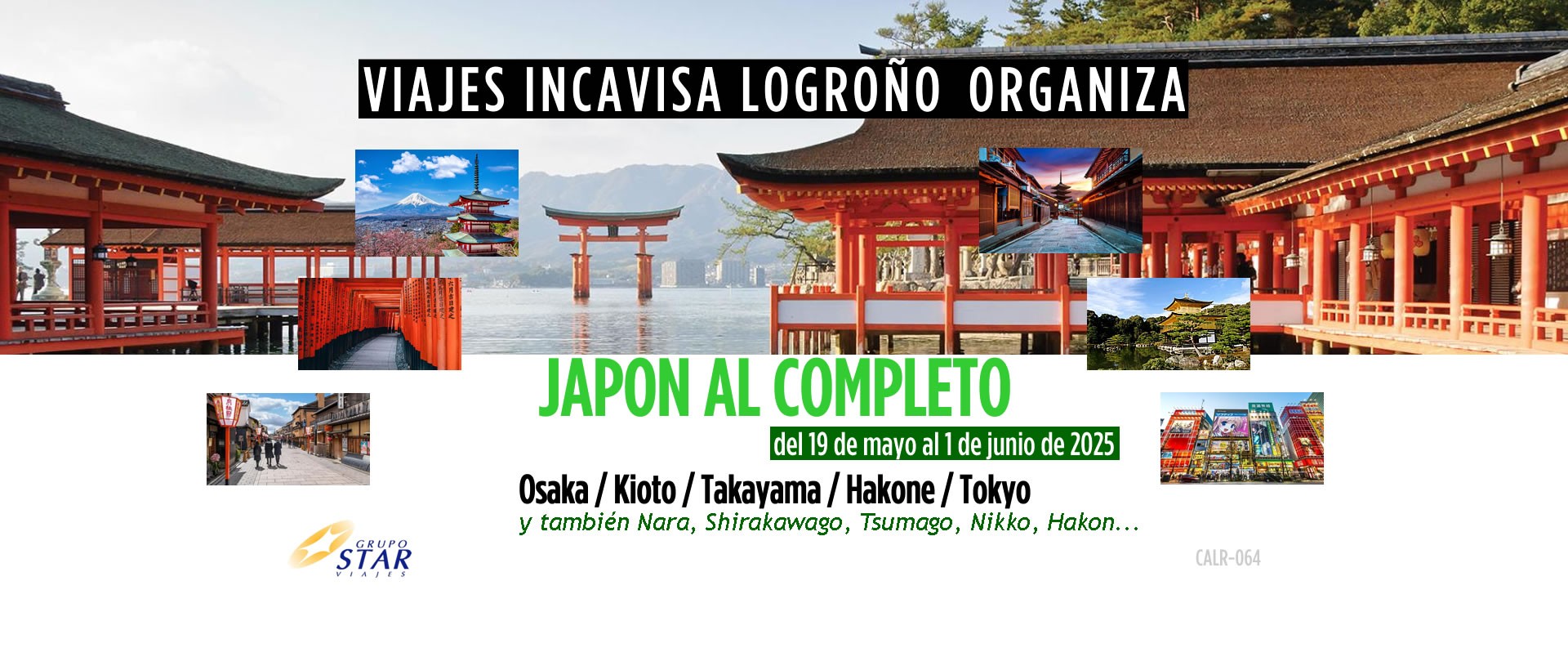 japon al completo mayo 25